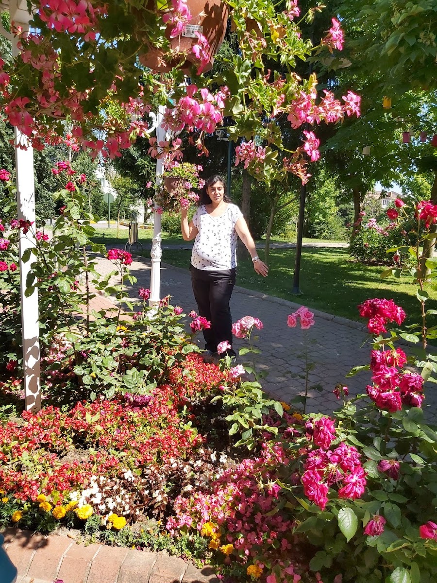 Ani Harabeleri — fotoğraf 2