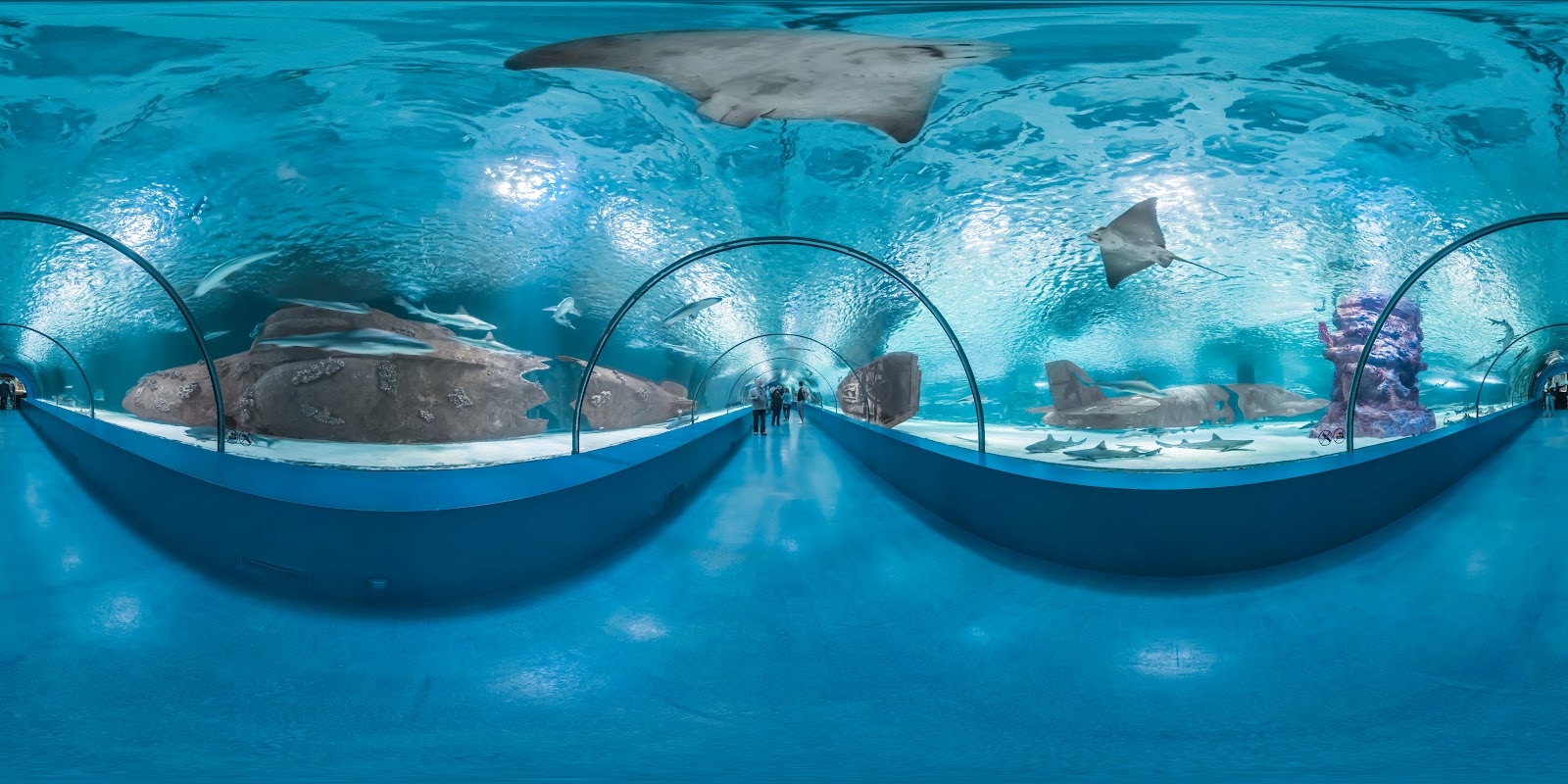 Antalya Aquarium — photo 7
