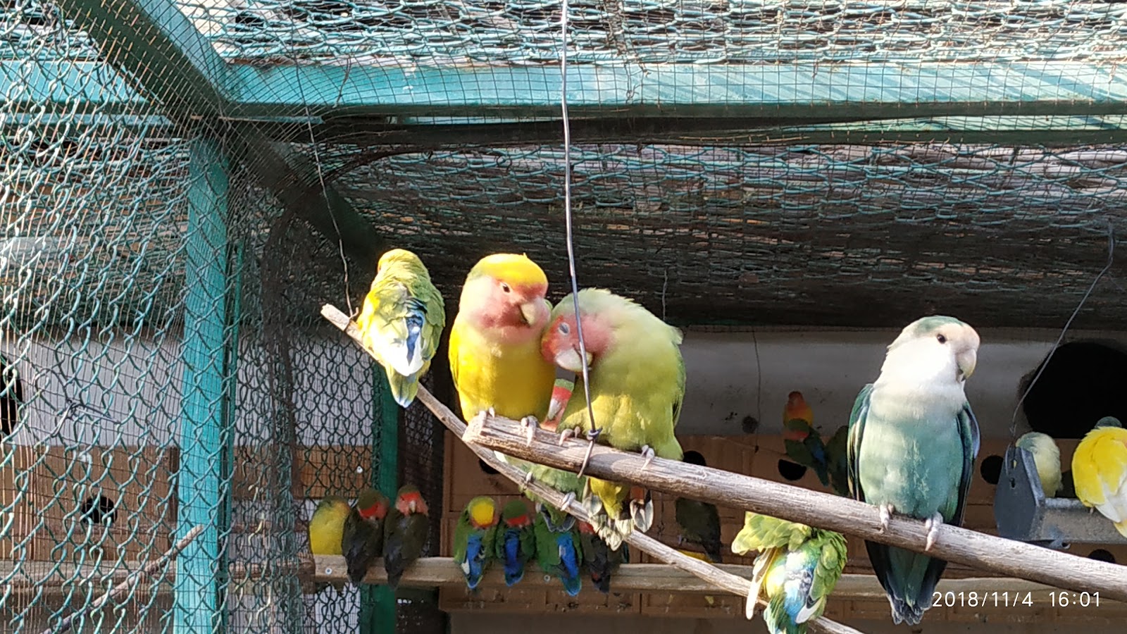 ANTALYA DOĞAL YAŞAM PARKI — fotoğraf 4