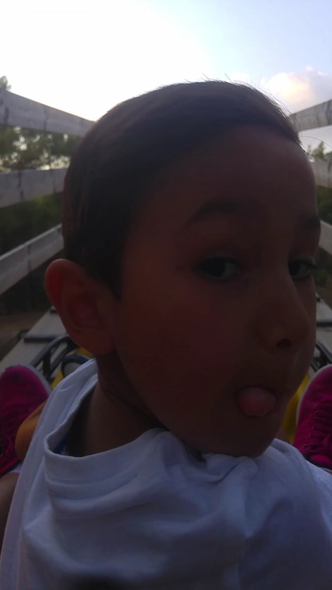 Antalya Park Orman — fotoğraf 4