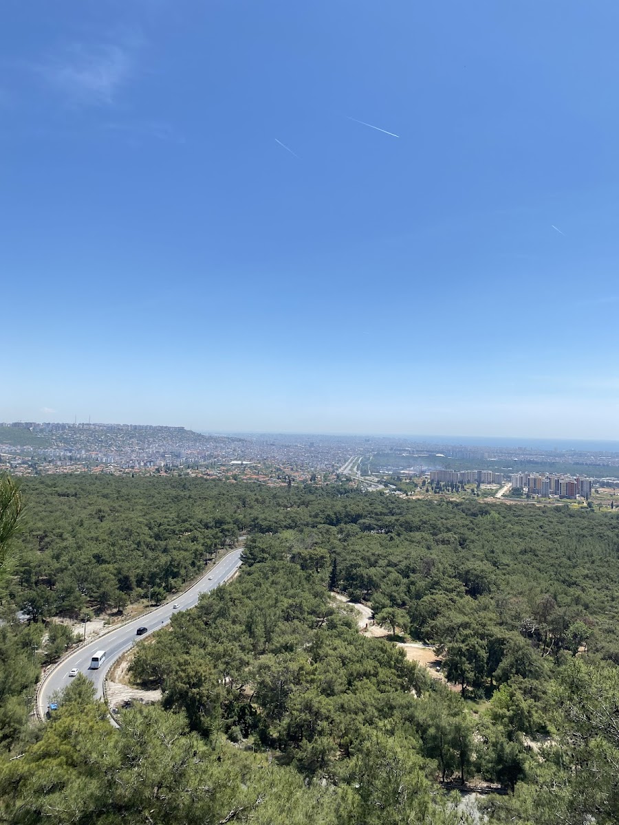 Antalya Park Orman — fotoğraf 5