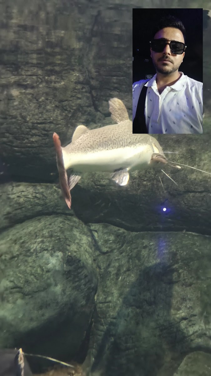 Aqua Vega Akvaryum — photo 3