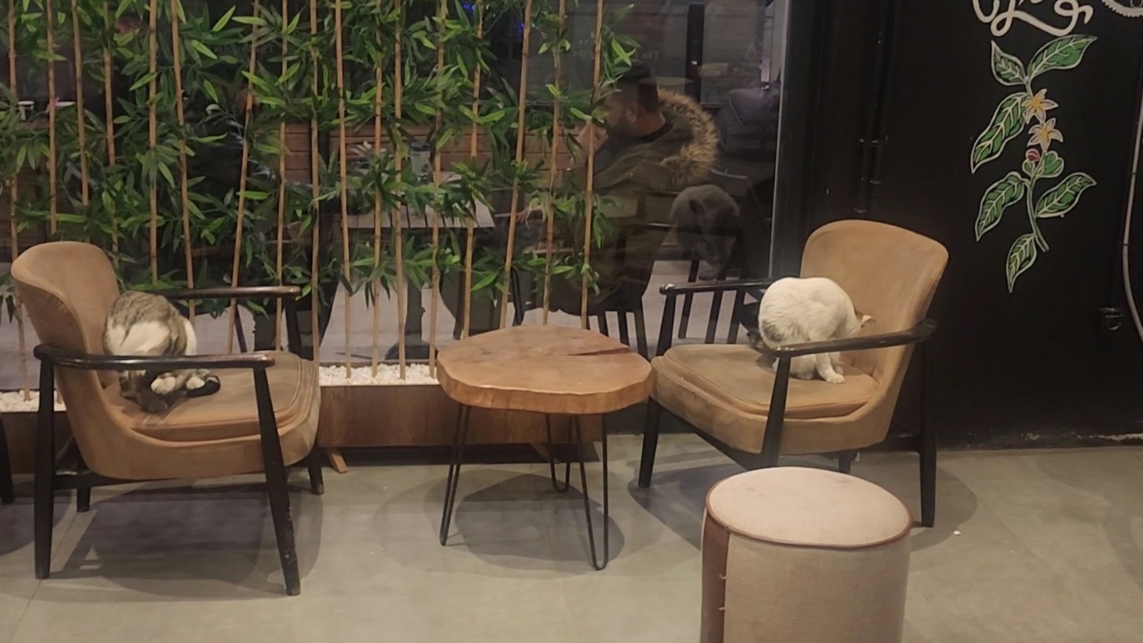 Arabica Coffee House — fotoğraf 3
