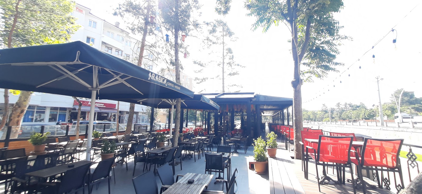 Arabica Coffee — fotoğraf 1