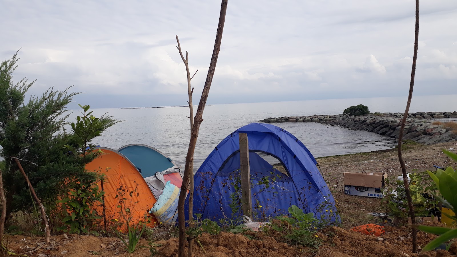 Araklı — photo 2