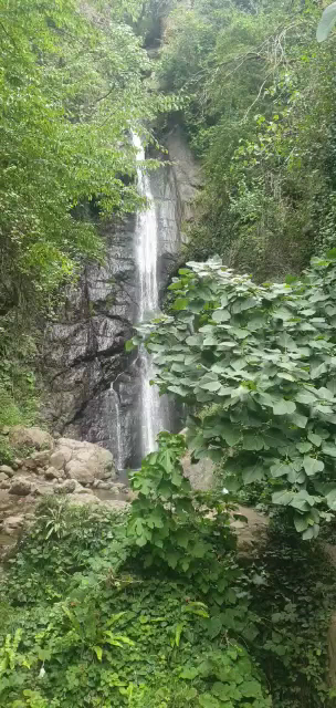 Araklı — photo 3