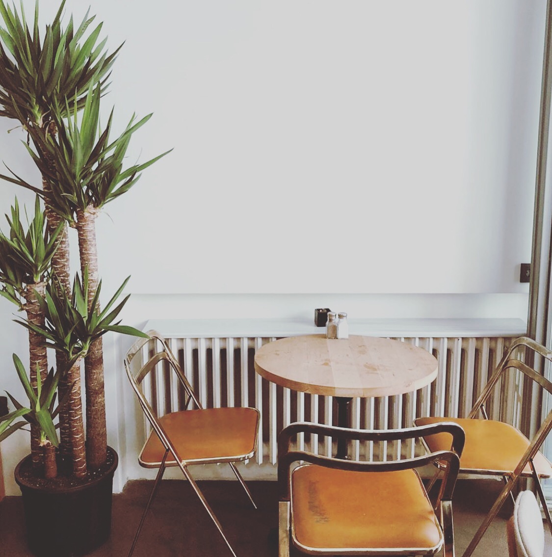 aralık — fotoğraf 9