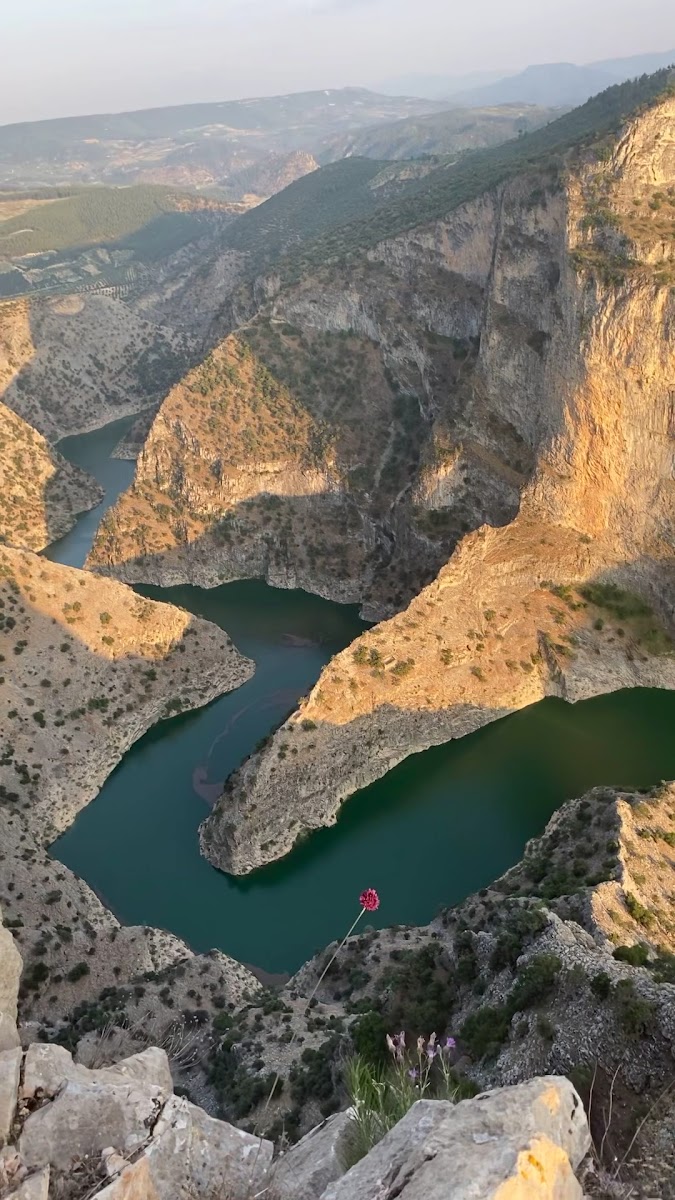 Arapapıştı Kanyonu Seyir Tepesi — fotoğraf 3