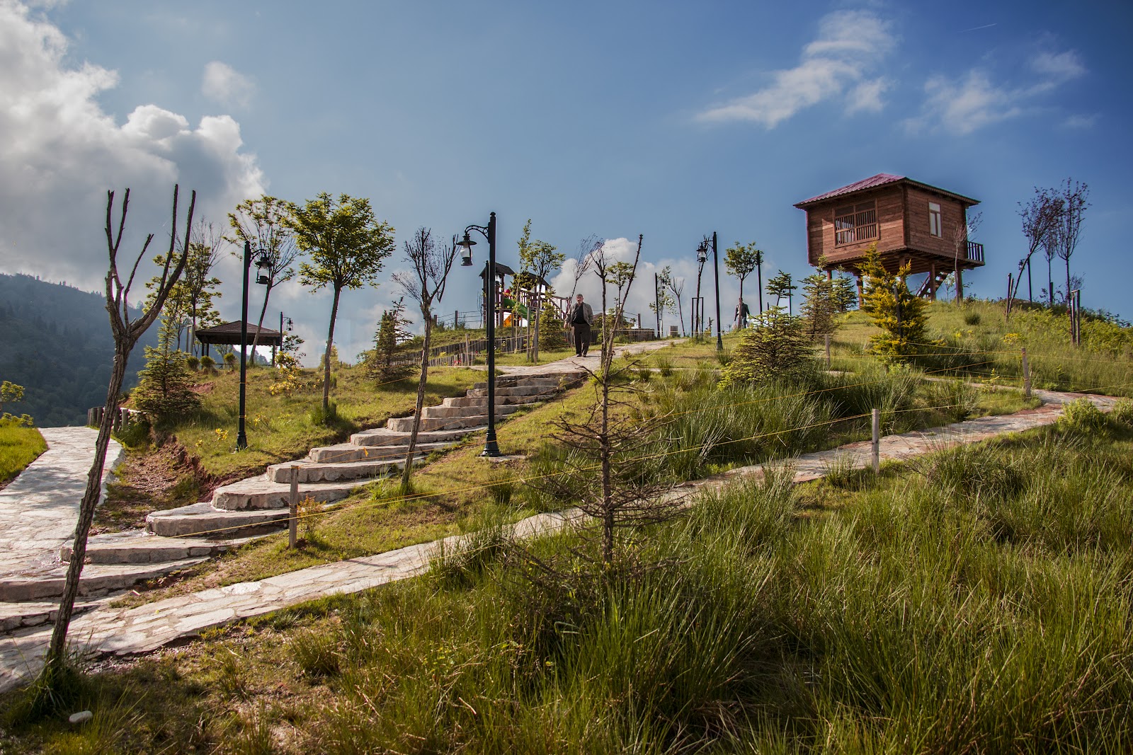 Arapdüzü Mesire Alanı — fotoğraf 2