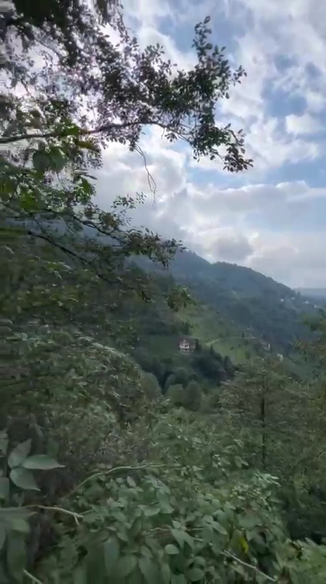 Arapdüzü Mesire Alanı — fotoğraf 3