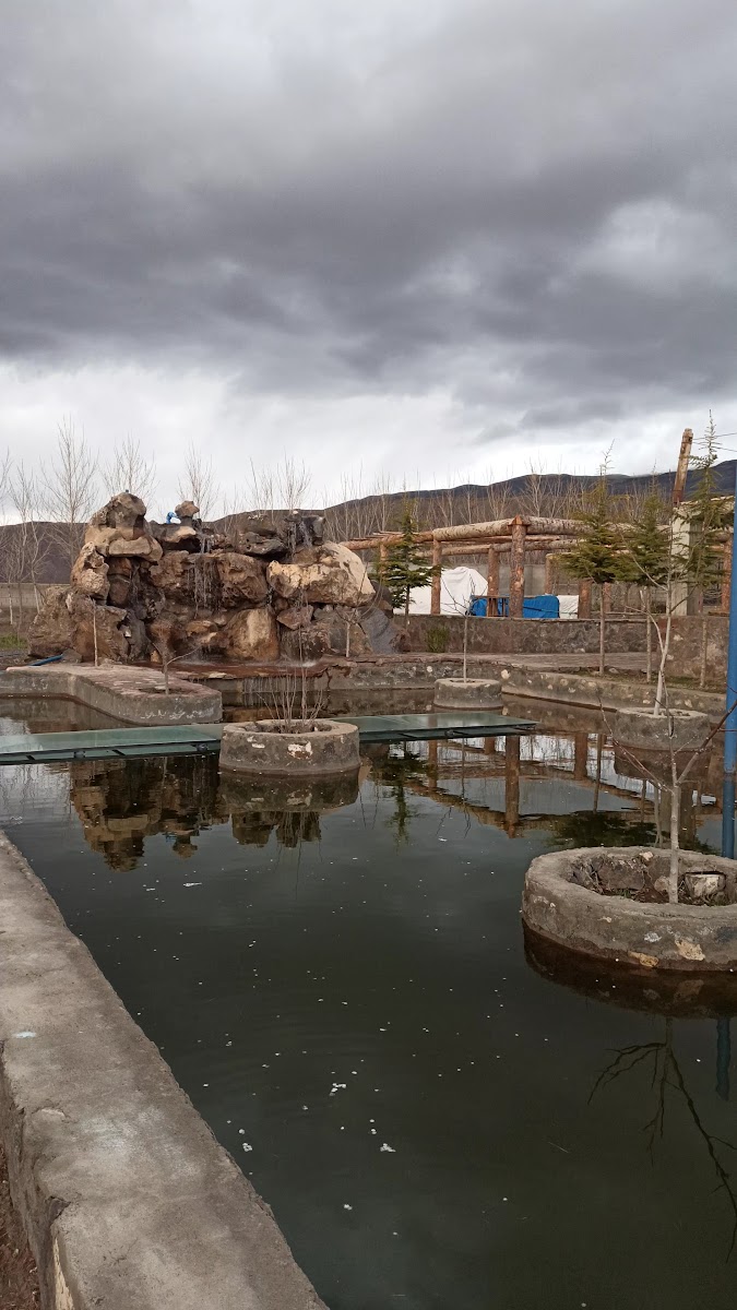 Ararat Garden — fotoğraf 3