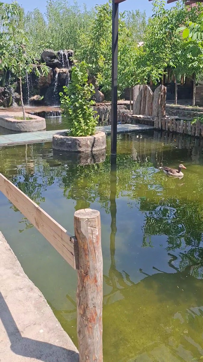 Ararat Garden — fotoğraf 5