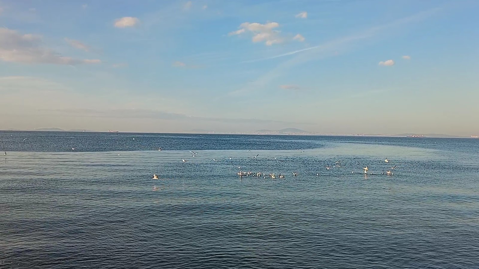 Araştırma Sahili Plajı — fotoğraf 3