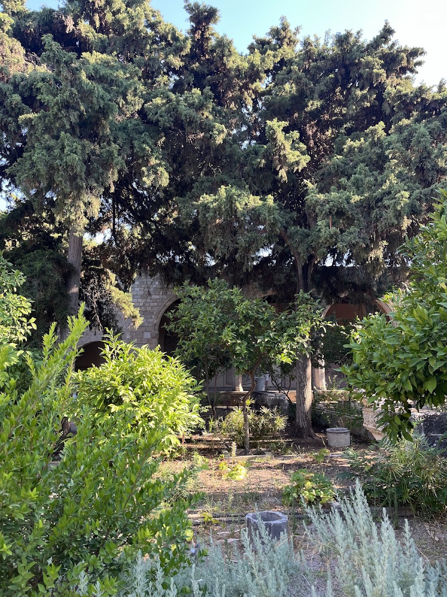 Archaeological Museum of Rhodes — photo 2