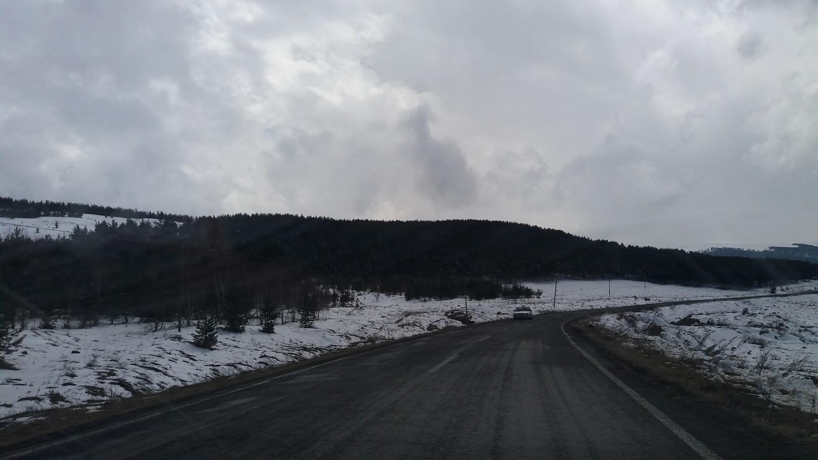 Ardahan Kent Ormanı — fotoğraf 2