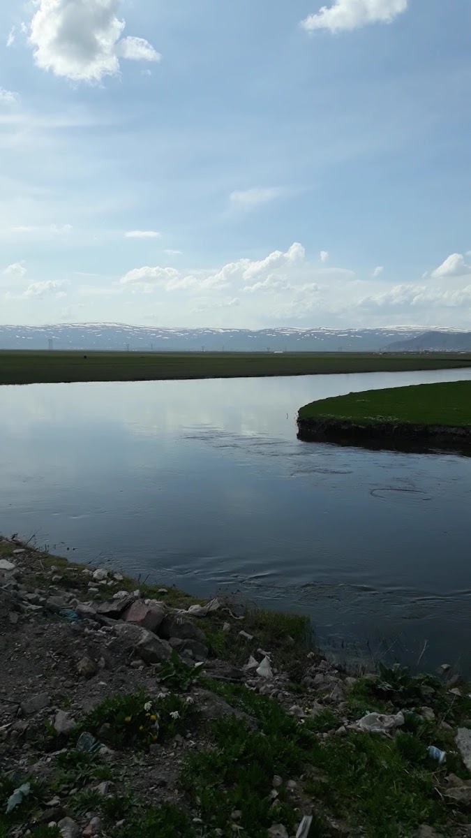 Ardahan Valiliği — fotoğraf 2