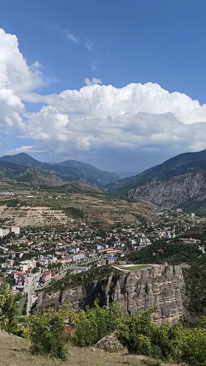 Ardanuç kalesi — fotoğraf 3