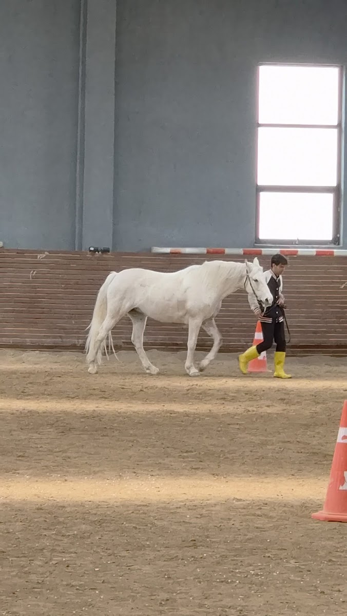Arena Binicilik — fotoğraf 2