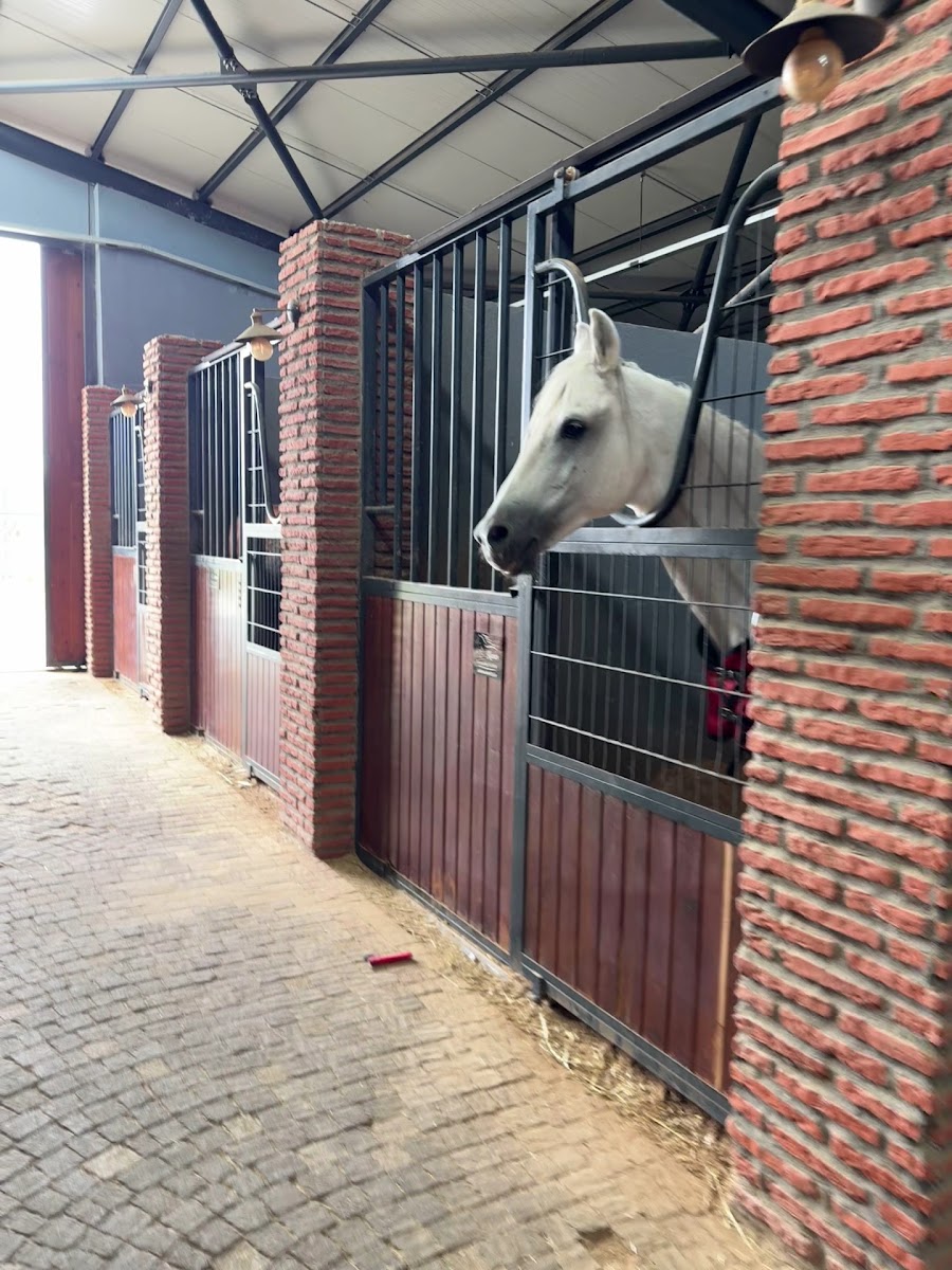 Arena Binicilik — fotoğraf 3