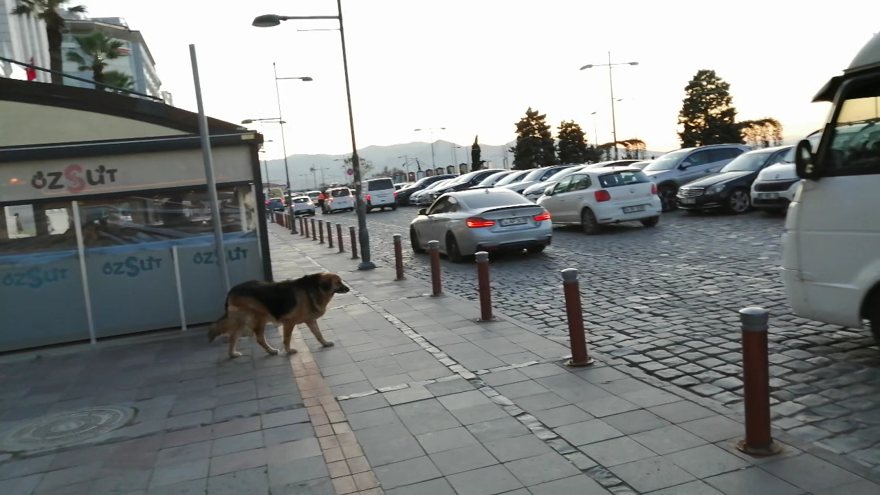 Arkas Sanat Merkezi — photo 3