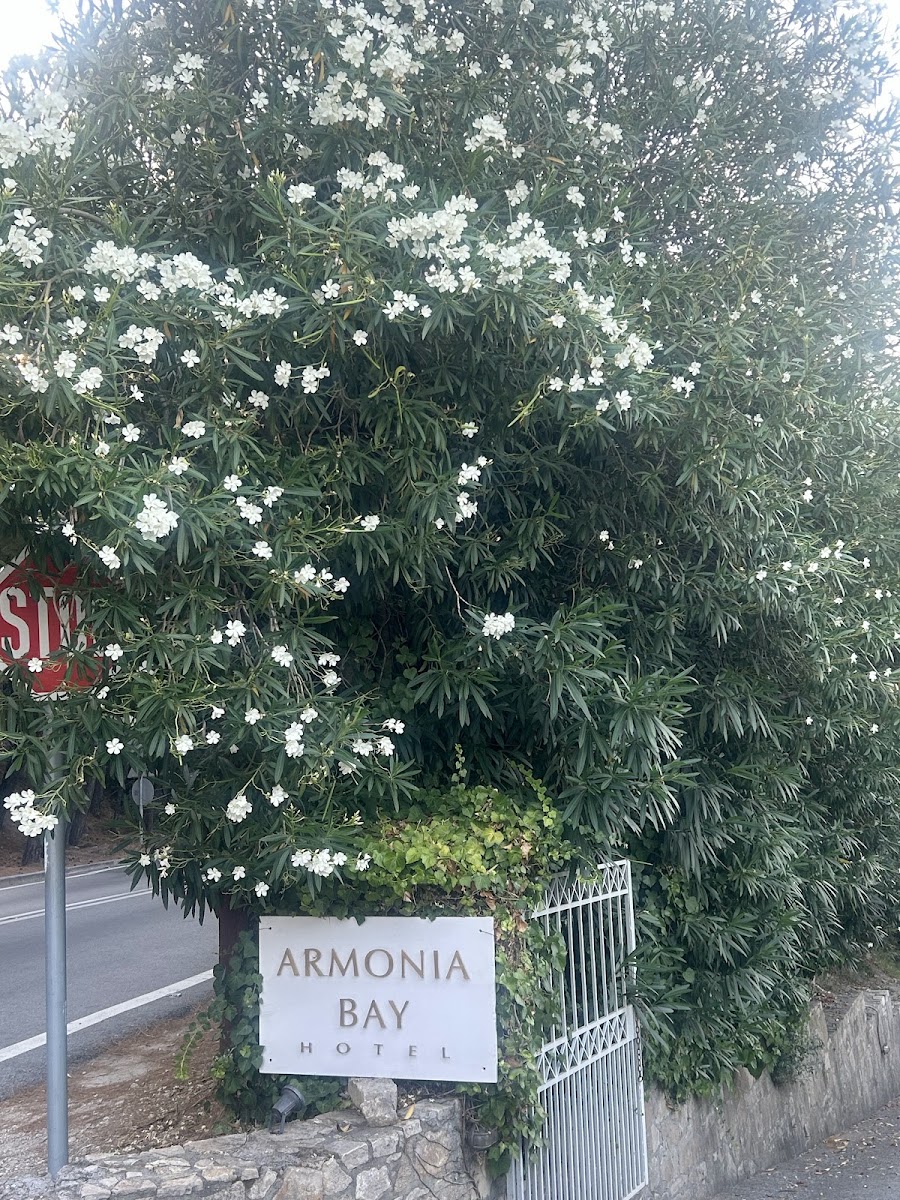 Armonia Bay Hotel — photo 3