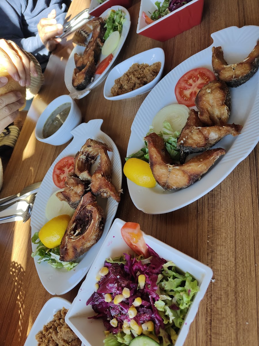 Arpaçay Kütük ev — fotoğraf 4