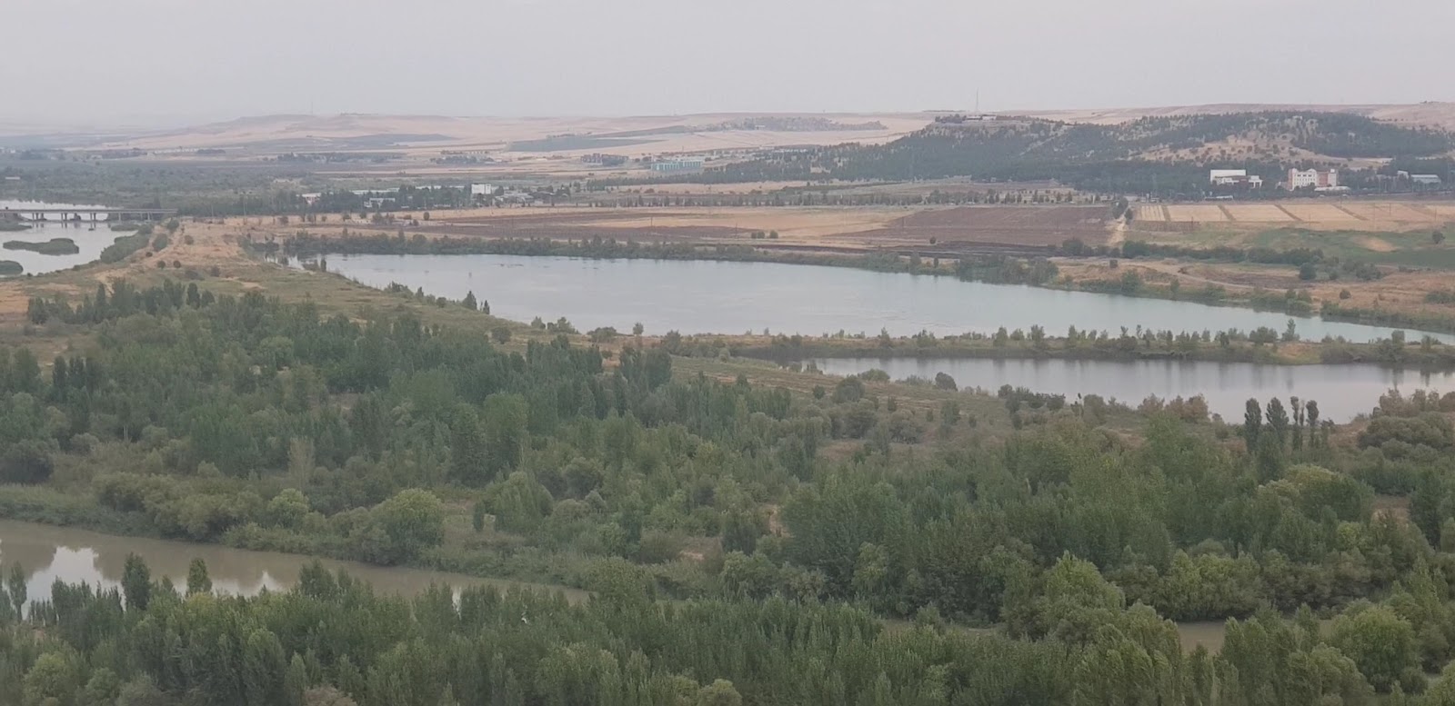 Arsev Çay Bahçesi — fotoğraf 3