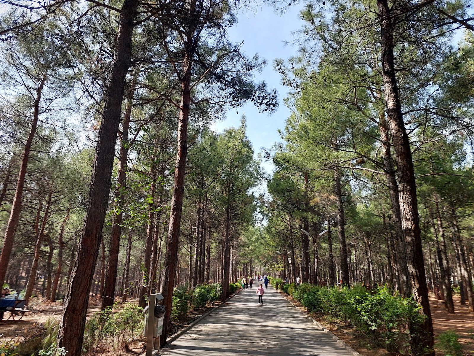 Arslanbey Parkı — fotoğraf