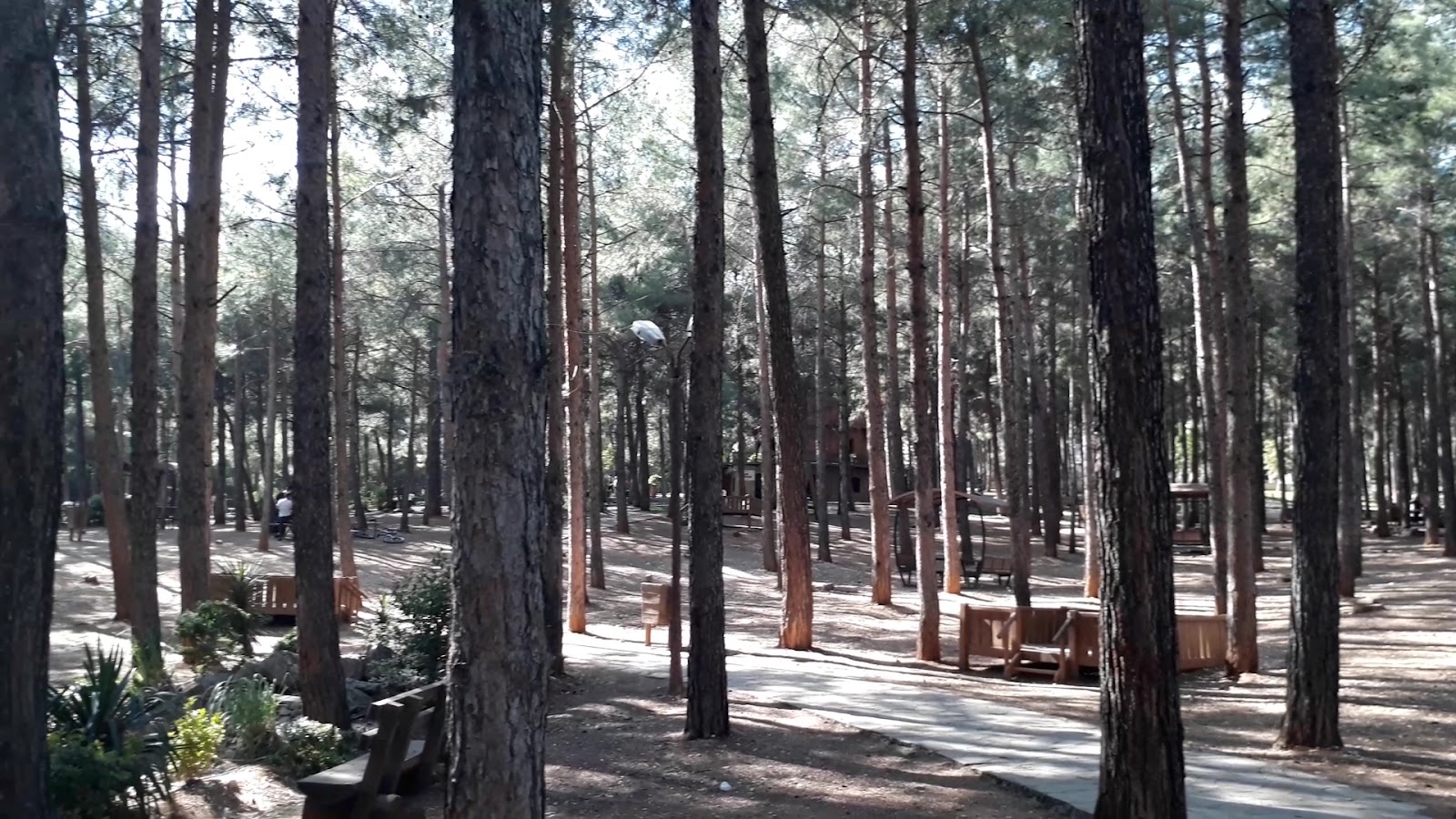 Arslanbey Parkı — fotoğraf 3