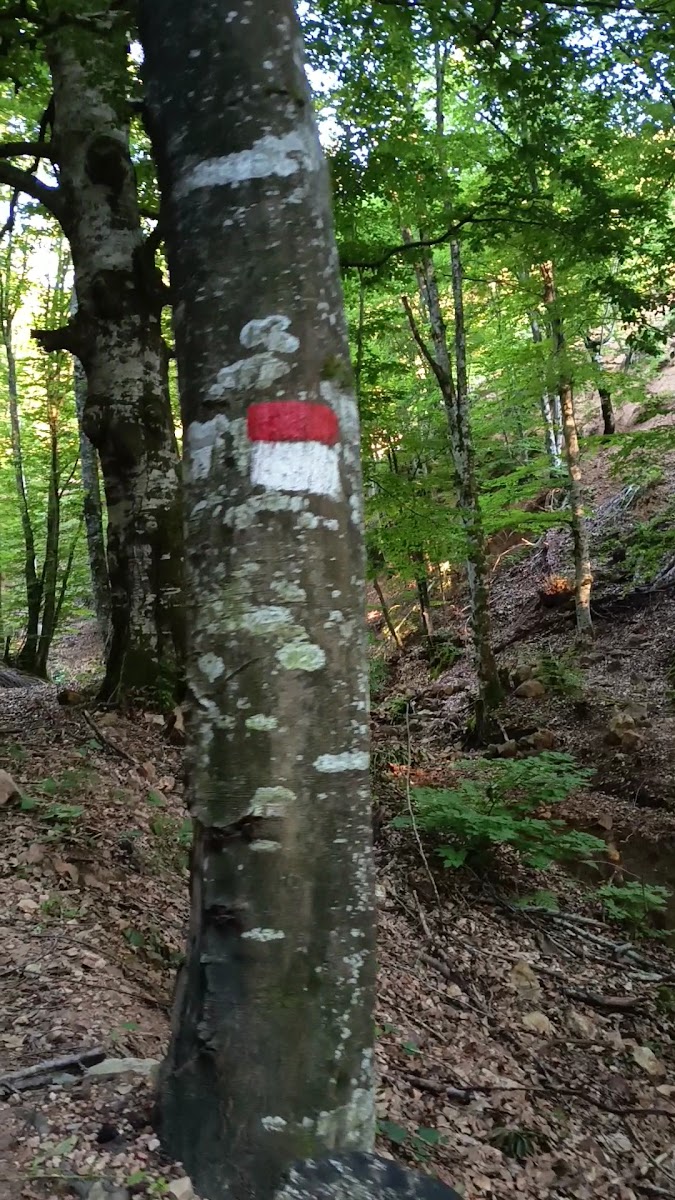 ARTEMEA YOLU — fotoğraf 2