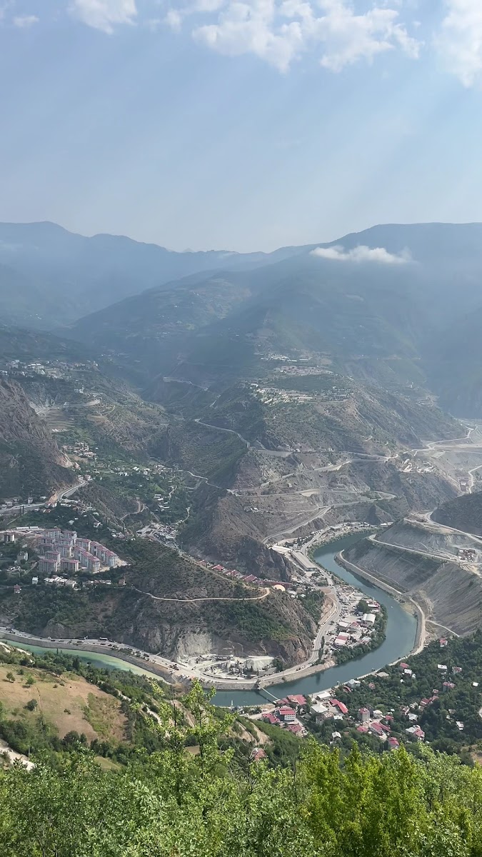 Artvin Kalesi — fotoğraf 2