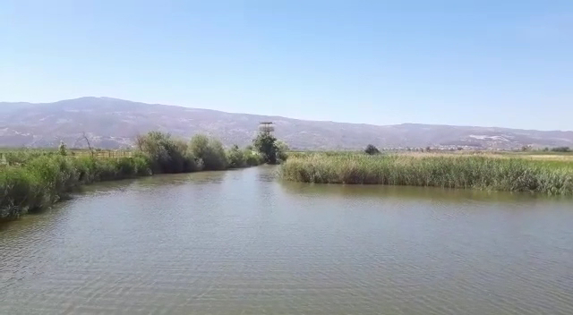 Aşağı Dip Gölü Doğa Parkı - Lac à Aydın — fotoğraf 3