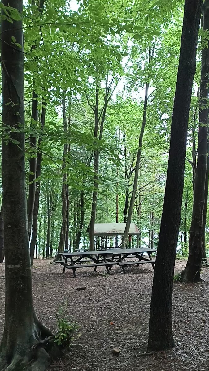 Asarkaya Kent Ormanı — fotoğraf 3