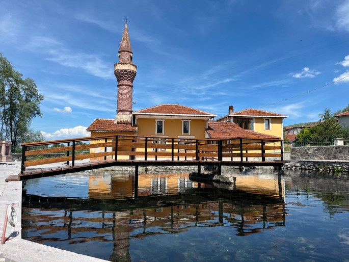 Asker Balıkları — fotoğraf 1