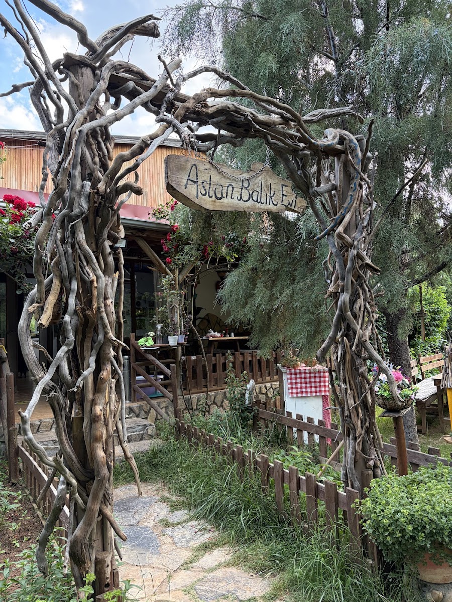 Aslan Balık Evi — fotoğraf 2