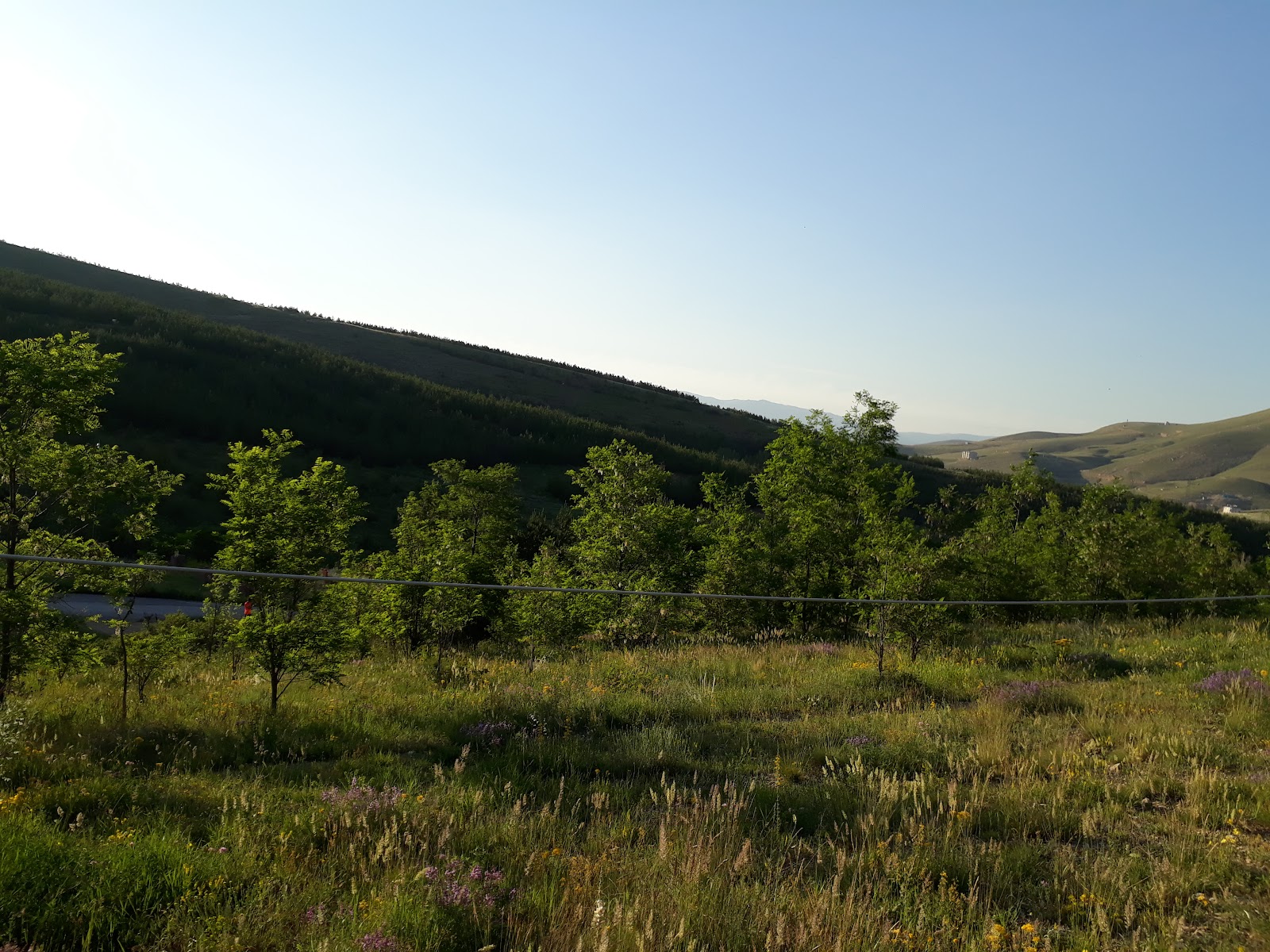 Aslandağ Vilayet Ormanı — fotoğraf 1