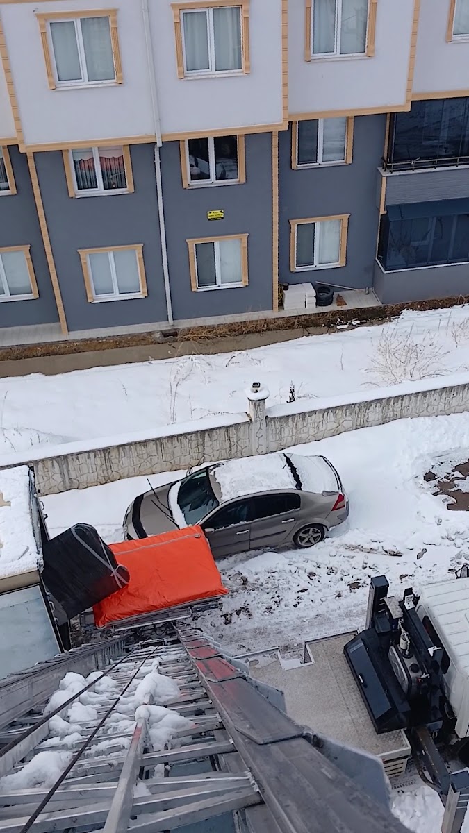 Aslandağ Vilayet Ormanı — fotoğraf 2