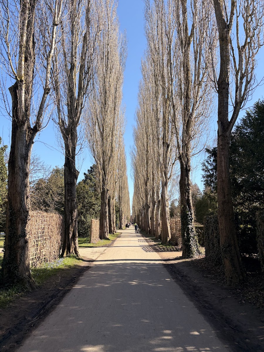 Assistens Cemetery — photo
