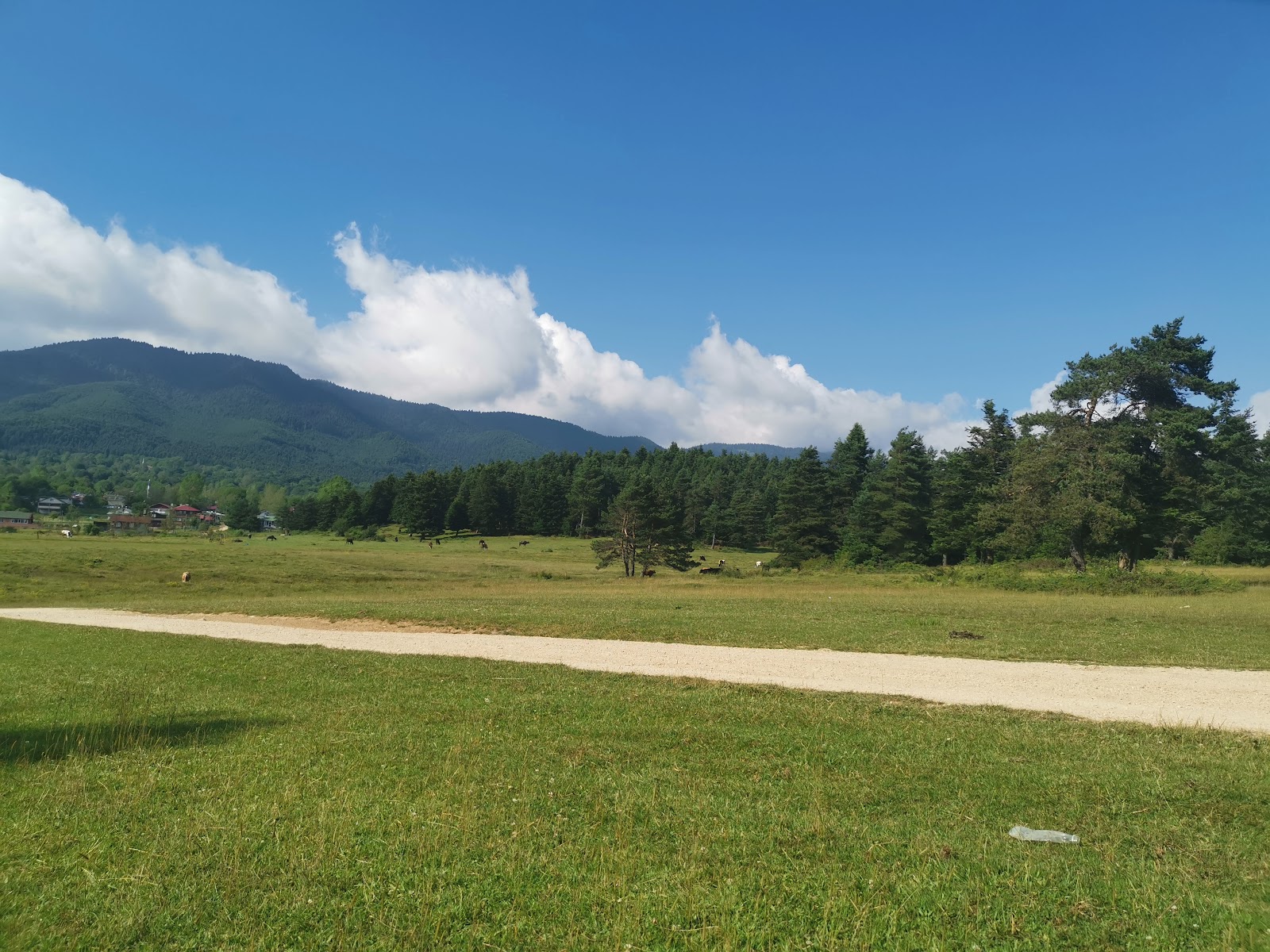 At Yaylası — fotoğraf 2
