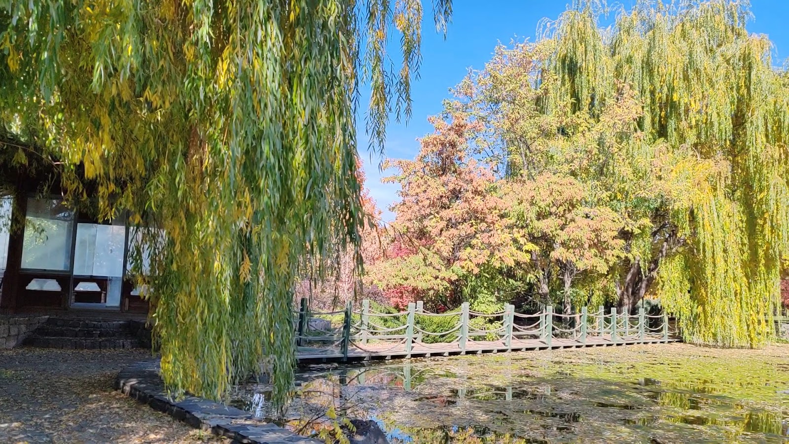 Ata Park Botanik Bahçesi — fotoğraf 2