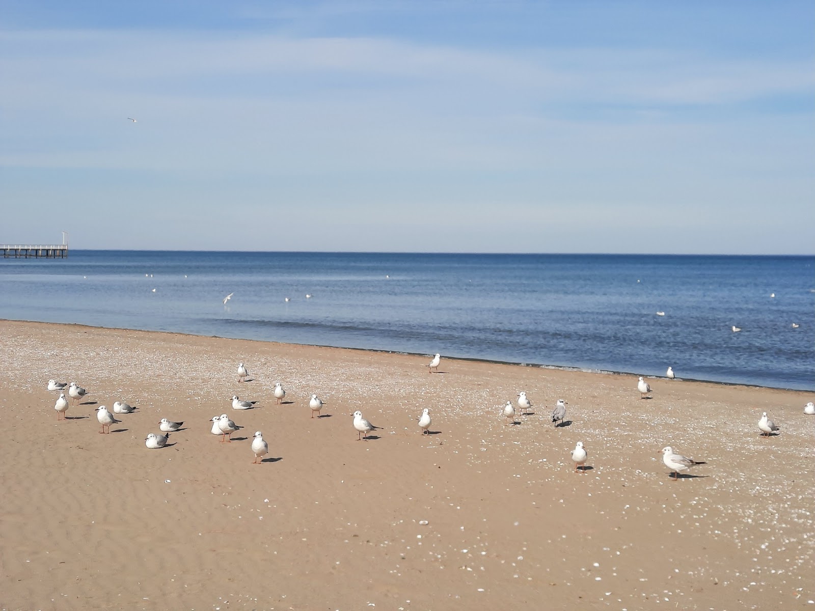 Samsun: Atakum sahili ve batı parklar