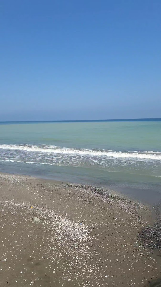 Atakum Sahili — fotoğraf 2