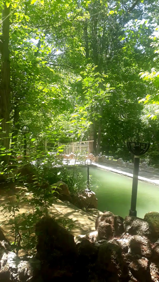 Atapark Mesire Yeri — fotoğraf 2