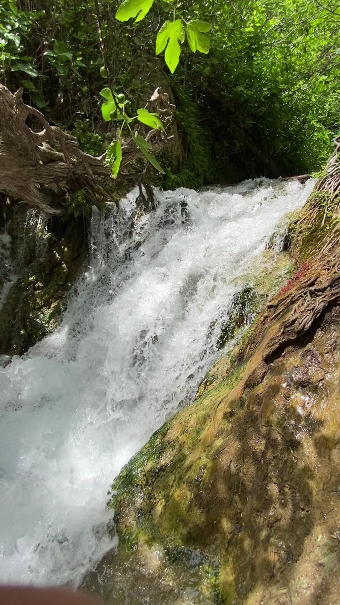 Atatürk Barajı Şelalesi — fotoğraf 3