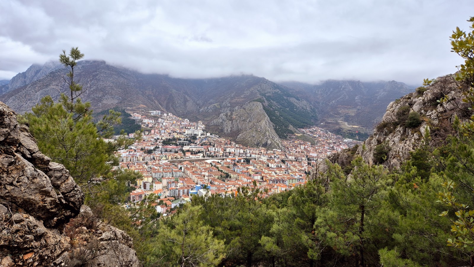 Atatürk Hatıra Ormanı — fotoğraf 1