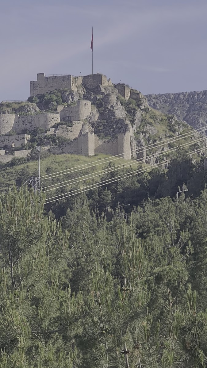 Atatürk Hatıra Ormanı — fotoğraf 3