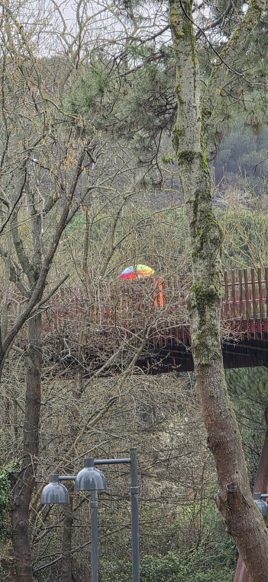 Atatürk Kent Ormanı — fotoğraf 2