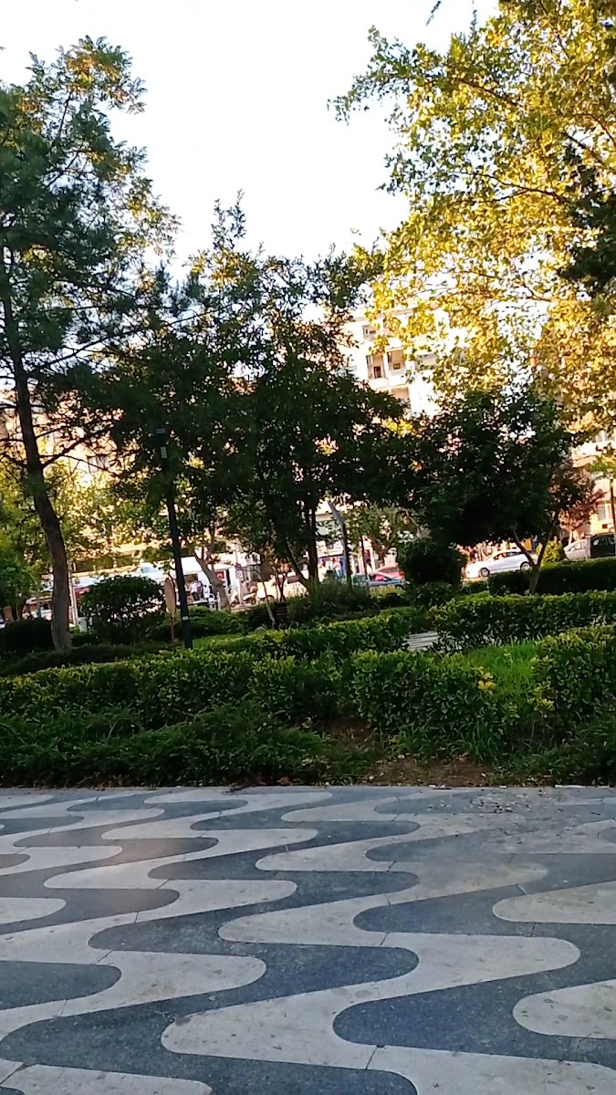 Atatürk Meydanı — fotoğraf 3