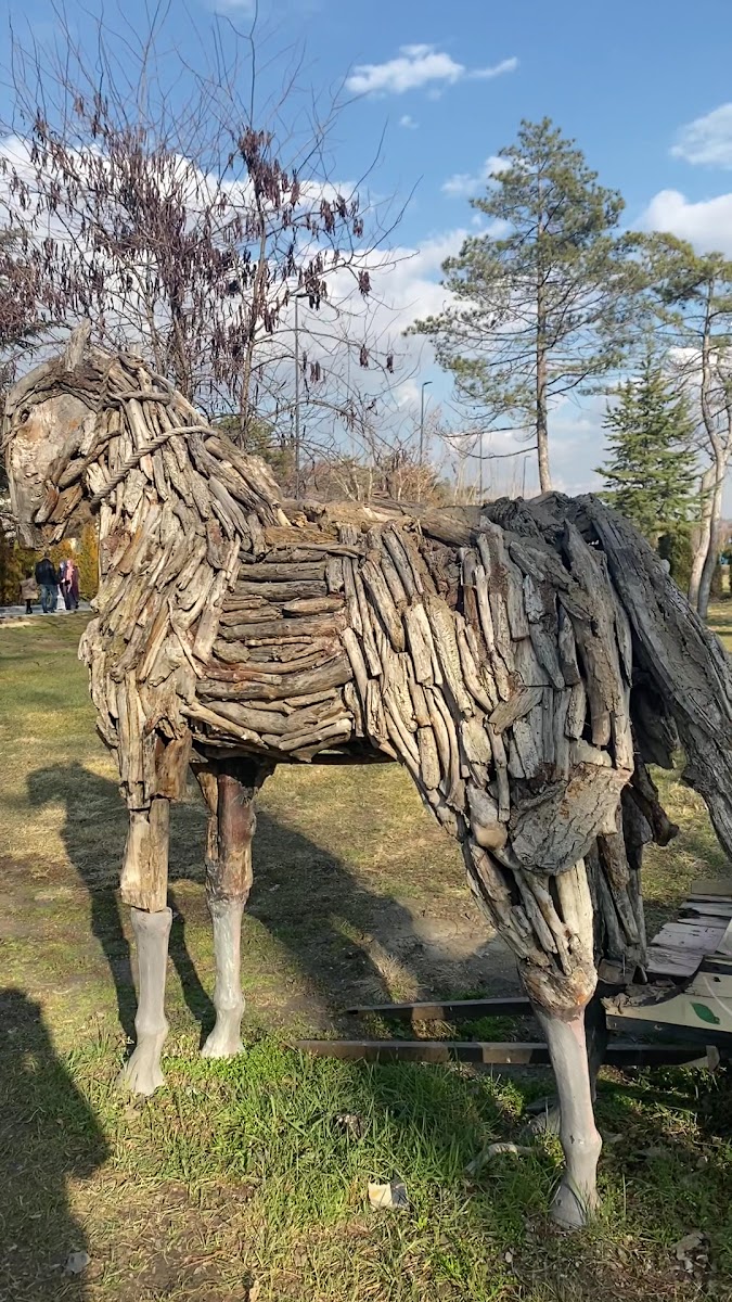 Atatürk Orman Çiftliği Müdürlüğü Gazi Orman Çiftliği Parkı — photo 2