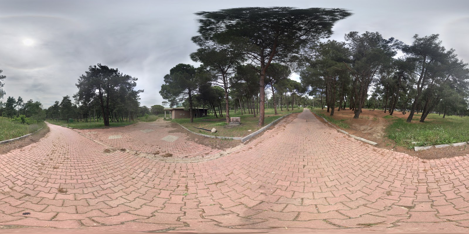 Atatürk Ormanı Mesire Yeri — fotoğraf 2
